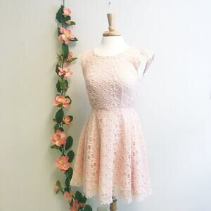 Ellison Orange Lace Fit and Flare Dress